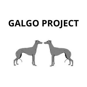 Galgo project