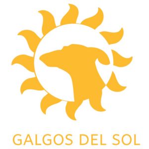 Galgos del sol