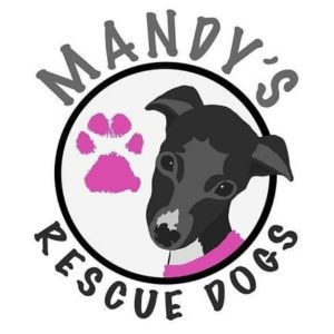 Mandys rescue dogs