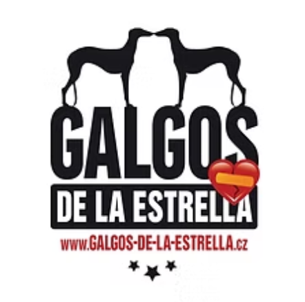 Galgos de la Estrella